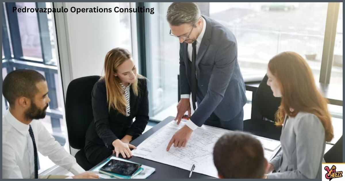 Pedrovazpaulo Operations Consulting